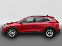 Gebraucht Ford Kuga Titanium X 150 PS (110 kW) 2020 Rot SUV