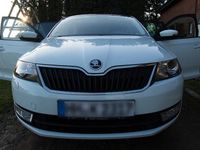 Gebraucht Skoda Rapid Drive 110 PS (80 kW) 2017 Weiß Kleinwagen