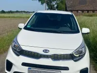 Gebraucht Kia Picanto X-Line 84 PS (61 kW) 2019 Weiß Kleinwagen