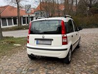 Gebraucht Fiat Panda 69 PS (50 kW) 2012 Weiß Kleinwagen