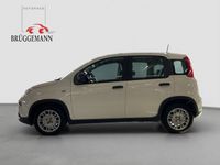 Gebraucht Fiat Panda 69 PS (50 kW) 2025 Weiß Kleinwagen