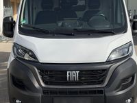 Gebraucht Fiat Ducato 33 140 PS (102 kW) 2022 Weiß Van