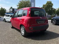 Neu Fiat Panda Pop 65 PS (47 kW) 2026 Rot Kleinwagen