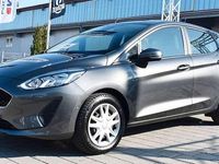 Gebraucht Ford Fiesta Trend 86 PS (63 kW) 2019 Grau Kleinwagen