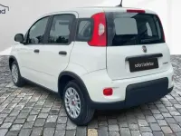 Gebraucht Fiat Panda 71 PS (52 kW) 2024 Gelatoweiss Kleinwagen