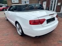 Gebraucht Audi A5 Cabriolet Sport 211 PS (155 kW) 2012 Weiß Cabrio
