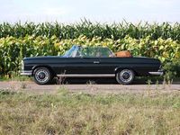 Gebraucht Mercedes 250 SE 231 PS (169 kW) 1967 Grün Cabrio