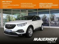 Gebraucht Opel Grandland X 181 PS (133 kW) 2019 Perlmutt weiss SUV