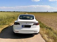 Gebraucht Tesla Model 3 Performance 377 kW (513 PS) 2021 Weiß Limousine