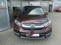 Gebraucht Honda CR-V Elegance 145 PS (106 kW) 2022 Braun SUV