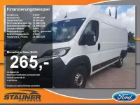 Gebraucht Fiat Ducato 179 PS (131 kW) 2024 Ducato weiß Van