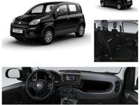 Neu Fiat Panda Icon 65 PS (47 kW) 2026 Cinema schwarz Kleinwagen