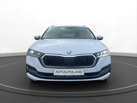 Gebraucht Skoda Octavia Style 150 PS (110 kW) 2023 Moon weiss Kombi