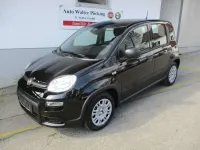 Neu Fiat Panda 69 PS (50 kW) 2025 Blau Kleinwagen