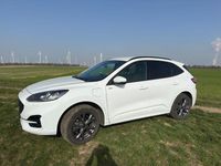 Gebraucht Ford Kuga ST-Line 224 PS (164 kW) 2021 Weiß SUV