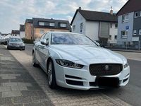Gebraucht Jaguar XE 179 PS (131 kW) 2016 Weiß Limousine