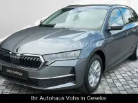 Neu Skoda Octavia Selection 150 PS (110 kW) 2025 Grau Kombi