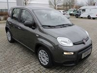 gebraucht Fiat Panda Hybrid 1,0 GSE / Klima, Servo, Radio, Bluetooth