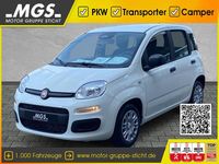 Neu Fiat Panda 69 PS (50 kW) 2025 Weiß Kleinwagen