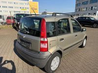 Gebraucht Fiat Panda 54 PS (39 kW) 2009 Beige (metallic) Kleinwagen
