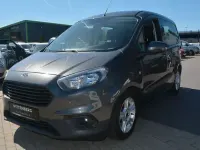 Second-hand Ford Transit Trend 75 CP (55 kW) 2019 Gri Break
