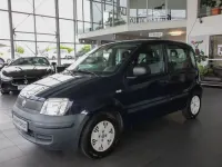 Gebraucht Fiat Panda Active 54 PS (39 kW) 2010 Blau Kleinwagen