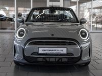 Gebraucht Mini One Cabriolet 102 PS (75 kW) 2021 Grau Cabrio