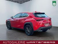 Gebraucht Lexus UX 250h Launch Edition 145 PS (106 kW) 2019 Rot SUV