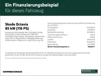 Gebraucht Skoda Octavia Ambition 116 PS (85 kW) 2023 Blau Kombi