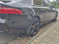 Gebraucht Jaguar XF Portfolio 163 PS (119 kW) 2016 Limousine