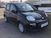 Gebraucht Fiat Panda 69 PS (50 kW) 2024 Schwarz Kleinwagen