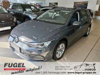 Gebraucht VW Golf VIII Life 110 PS (80 kW) 2022 Delfingrau metallic Kombi