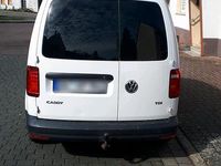 Gebraucht VW Caddy 102 PS (75 kW) 2016 Weiß Van / Kleinbus