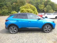Gebraucht Opel Grandland X 131 PS (96 kW) 2023 Blau SUV