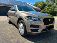 Gebraucht Jaguar F-Pace 179 PS (131 kW) 2017 Braun SUV