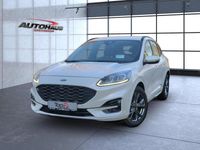 Gebraucht Ford Kuga ST-Line 150 PS (110 kW) 2023 Arktisweiß (metallic) SUV