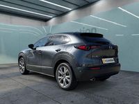 Gebraucht Mazda CX-30 122 PS (89 kW) 2023 Grau SUV