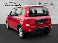Gebraucht Fiat Panda 69 PS (50 kW) 2024 Rot Kleinwagen