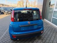 Neu Fiat Panda Icon 65 PS (47 kW) 2026 Blau Kleinwagen