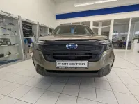 Neu Subaru Forester Exclusive+ 136 PS (100 kW) 2026 Autumn green SUV