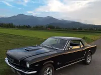 Gebraucht Ford V8 200 PS (147 kW) 1965 Schwarz