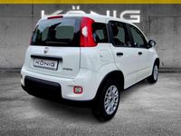 Gebraucht Fiat Panda 69 PS (50 kW) 2024 Gelato weiss Kleinwagen