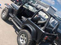Gebraucht Jeep Wrangler 186 PS (136 kW) 1992 Schwarz SUV
