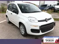 Neu Fiat Panda 69 PS (50 kW) 2025 Gelato weiß Kleinwagen
