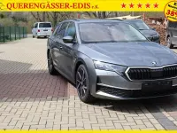 Neu Skoda Octavia Dynamic 150 PS (110 kW) 2026 Grau Limousine