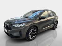 Neu Ford Kuga ST-Line 179 PS (131 kW) 2025 Grau SUV
