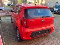 Gebraucht Kia Picanto Edition 7 67 PS (49 kW) 2019 Rot Kleinwagen