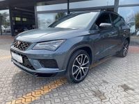 Usata Cupra Ateca Basis 300 CV (220 kW) 2020 Grigio SUV