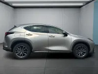 Gebraucht Lexus NX450h+ 309 PS (227 kW) 2025 Silber SUV