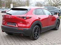 Gebraucht Mazda CX-30 Selection 122 PS (89 kW) 2022 Rot SUV